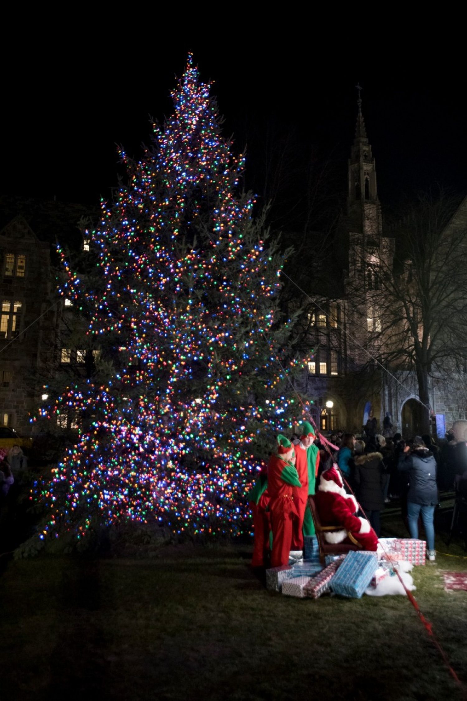 The BC Christmas Tree
