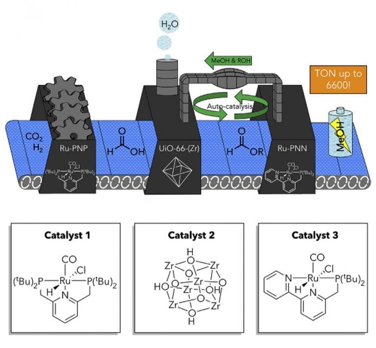 Boston College researchers used three different catalysts in one system to transform, in three steps, the greenhouse gas carbon dioxide to methanol, a liquid fuel that serves as a promising method for hydrogen storage. The first catalyst converts carbon dioxide and hydrogen to formic acid, which is then modified by a second catalyst to form an ester, incorporating an alcohol additive and producing water. The third catalyst in the system, which is typically incompatible with the first catalyst, then converts this ester to methanol. The team was able to perform this multistep reaction in one reaction vessel despite using two incompatible catalysts by encapsulating one in a porous framework that also acts as the second catalyst.