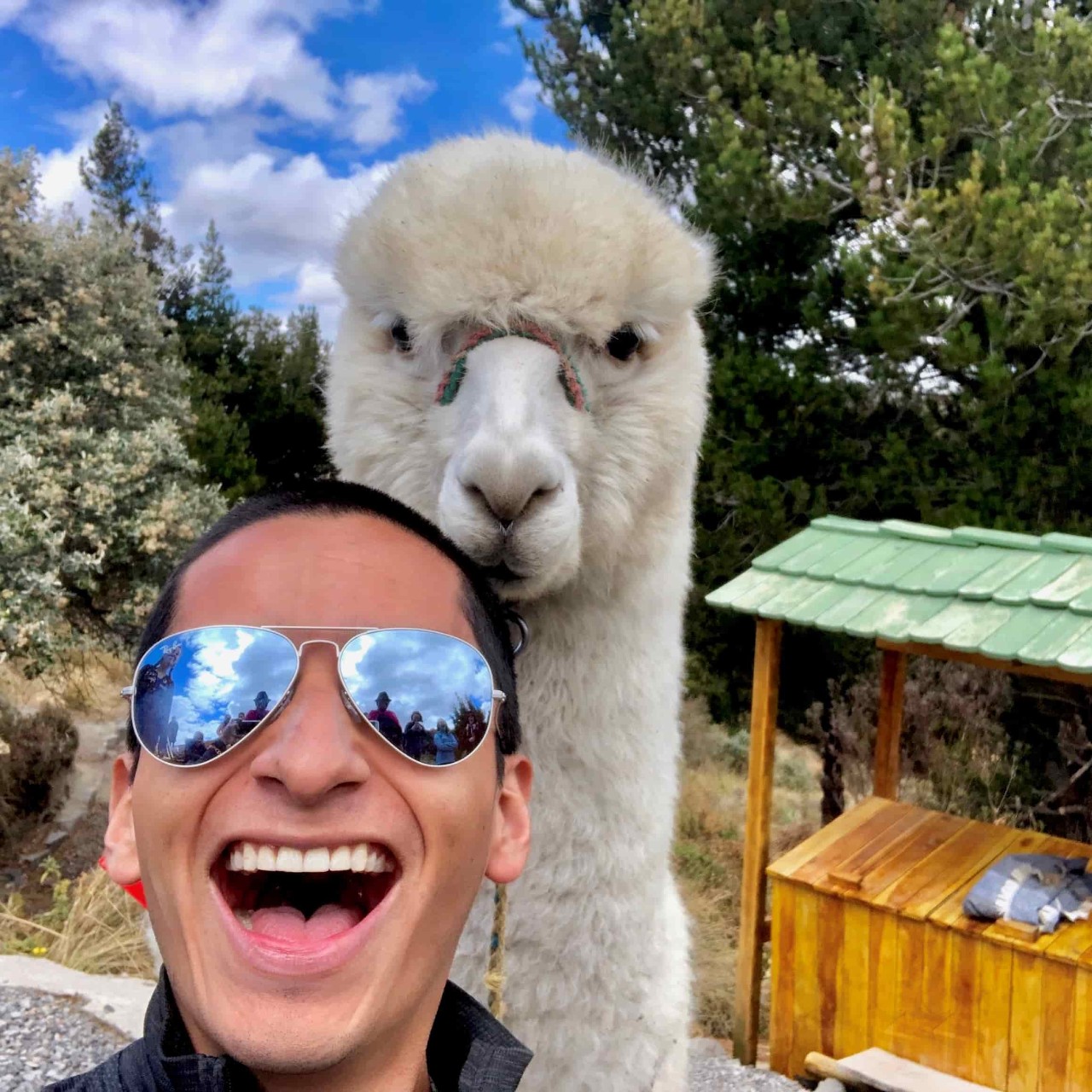 John Gehman '21 poses with an Alpaca while hiking the Quilotoa Volcano and Lagoon just south of Quito, Ecuador in September 2019.