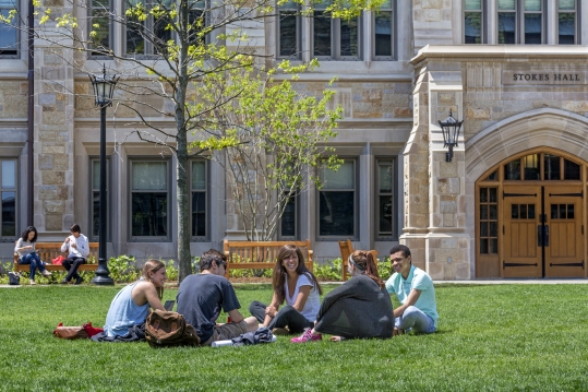 students sitting on lawn outside Stokes