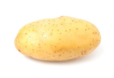 Photo of a potato