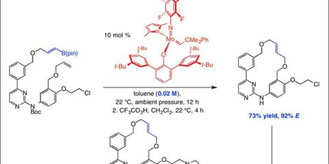 A new catalytic approach developed by BC and MIT researchers uses ring-closing metathesis to produce a compound with characteristics central to drug discovery research. 