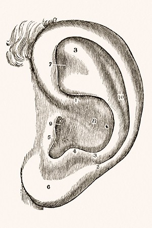 Sweetest-sounds-ear_300x450 Ear