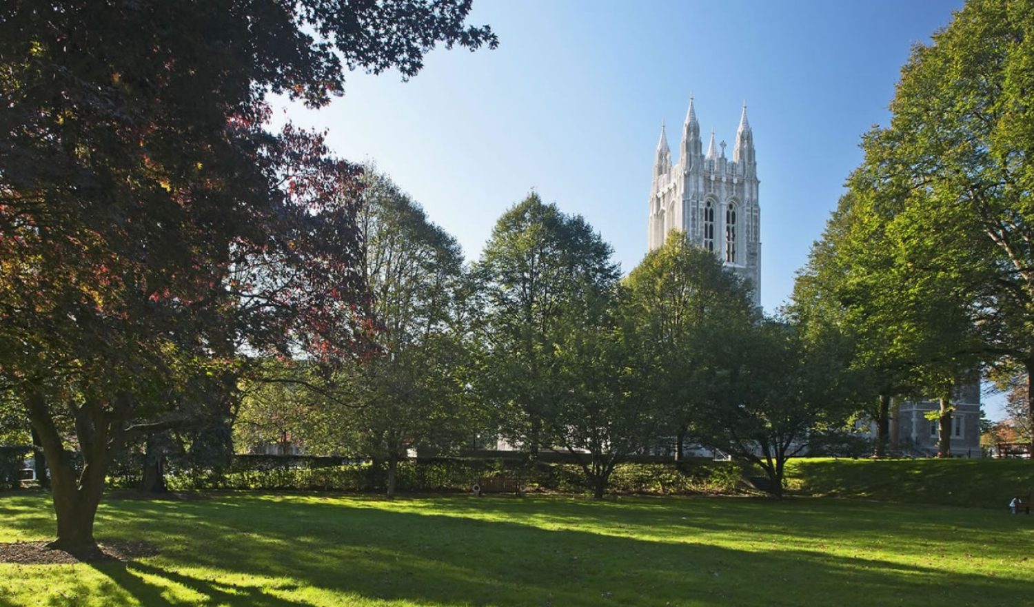 Photo of Gasson in the Spring