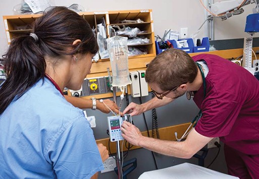 School of Nursing continuing education students