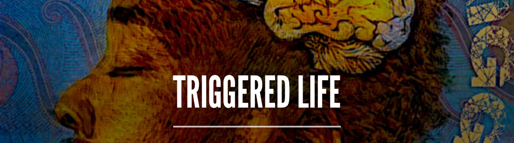 Triggered Life Banner