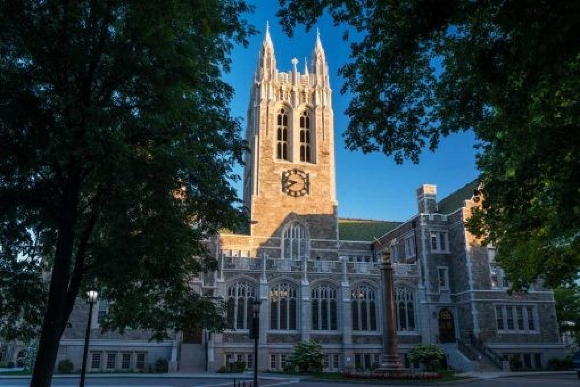 Gasson in Summertime