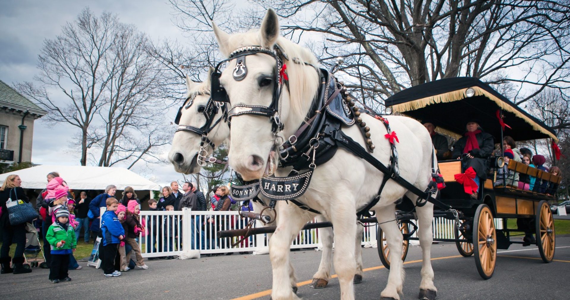 Horse-drawn carriage