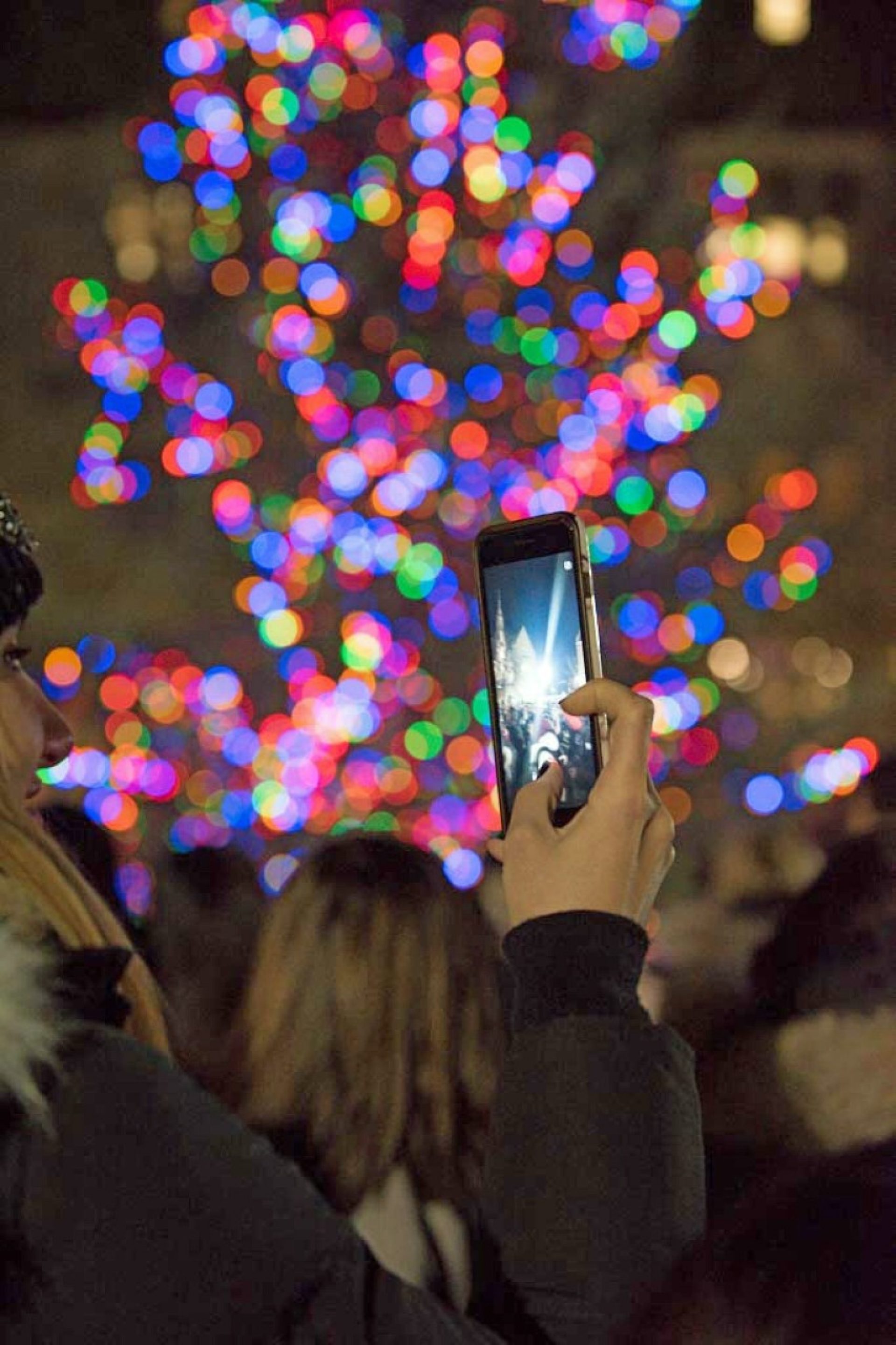 Student photographing the tree