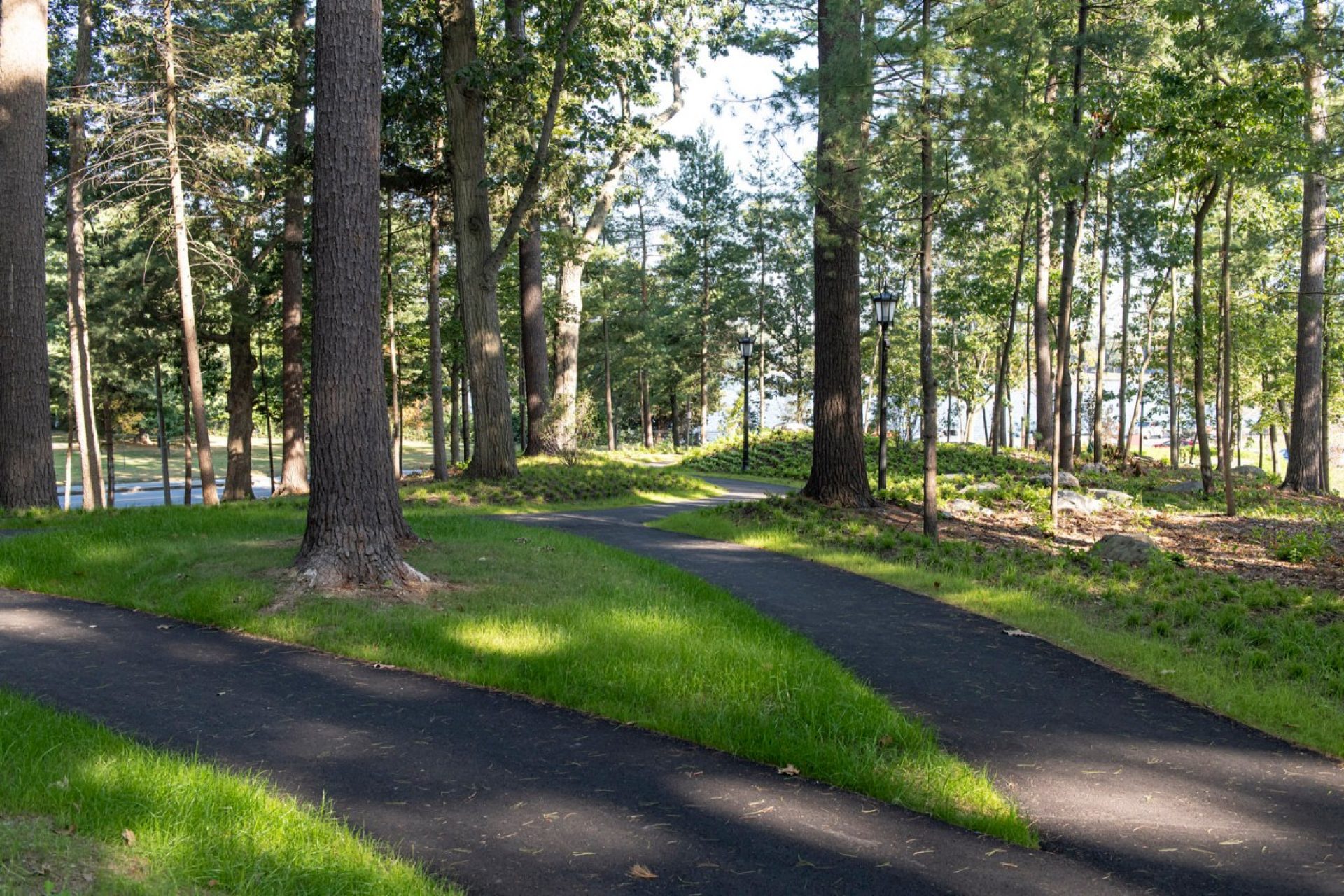 MWRA celebrate opening of Pine Tree Preserve - Boston College Chronicle