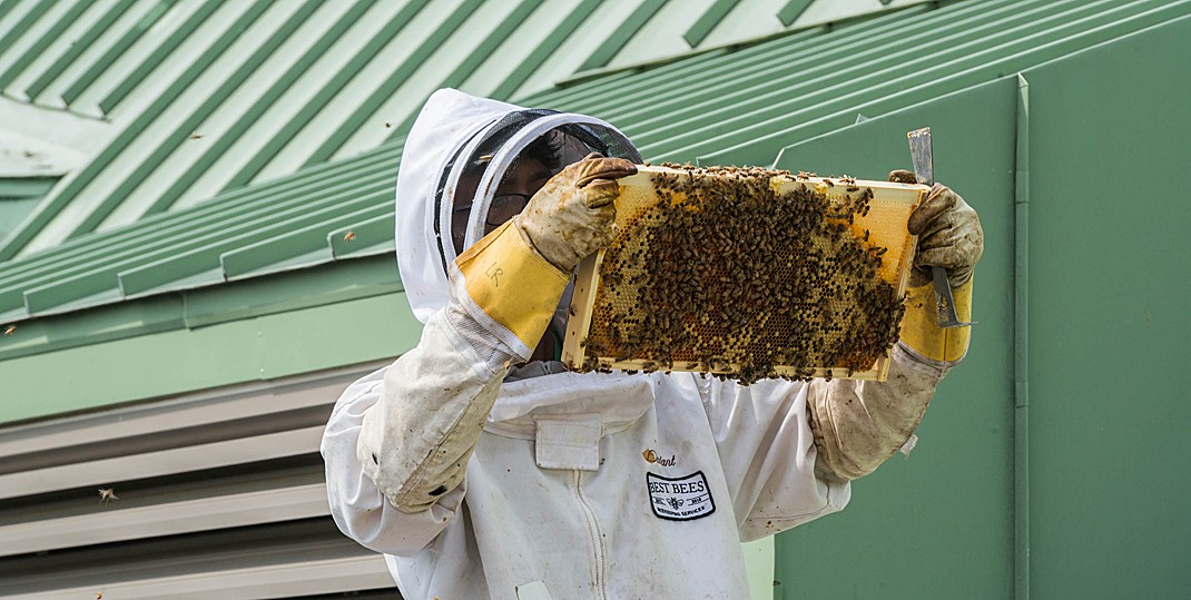 Confessions of a Newbie Beekeeper – Oakland County Blog