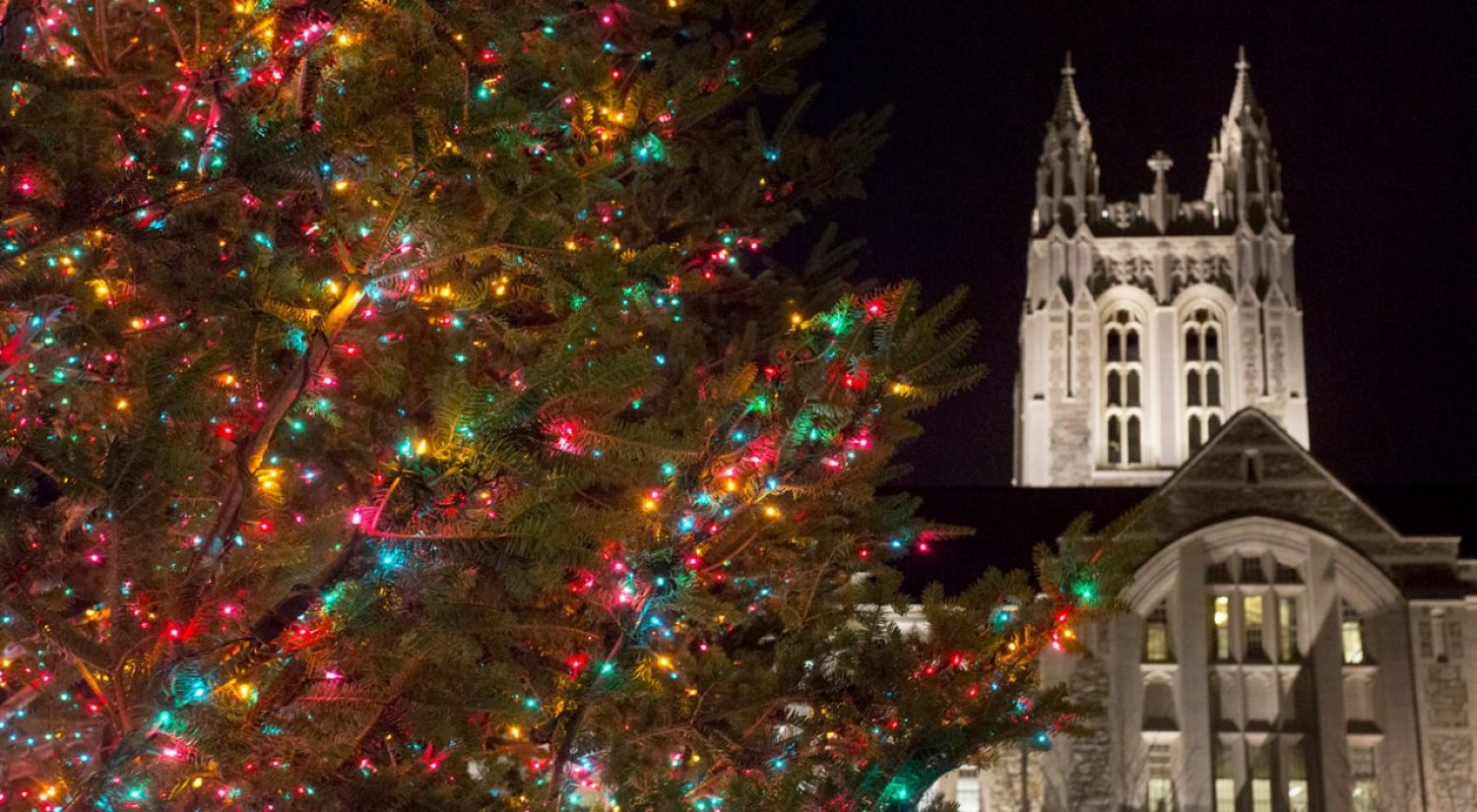 Gasson in lights