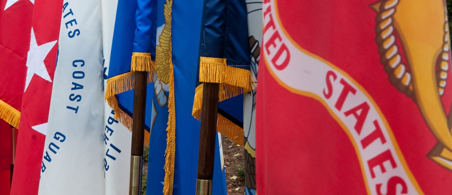 veterans and flags
