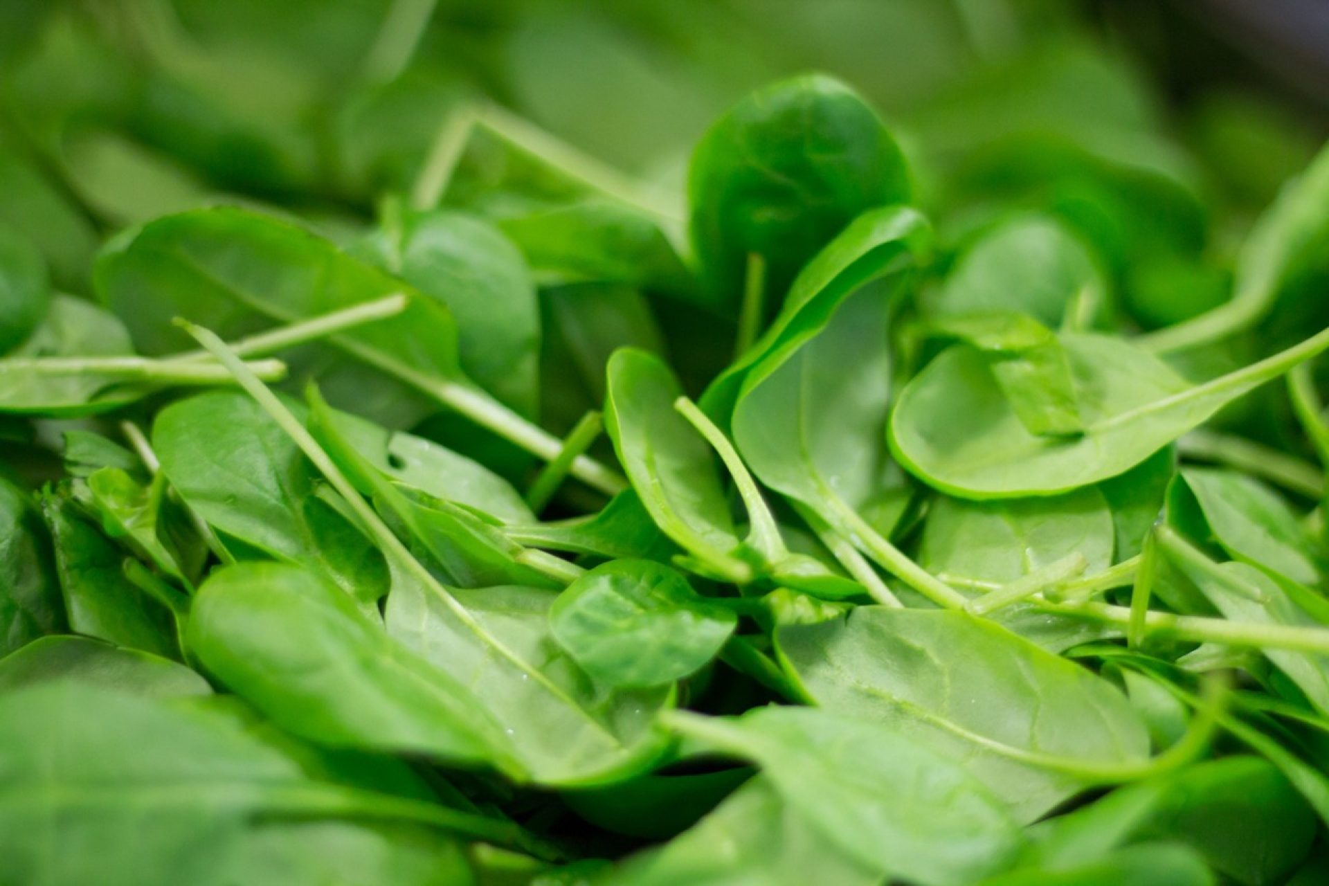 spinach leaves