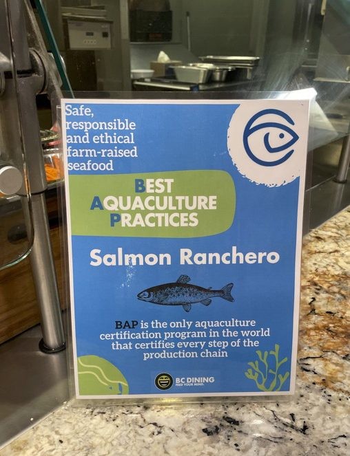 A flier with information about sustainable salmon