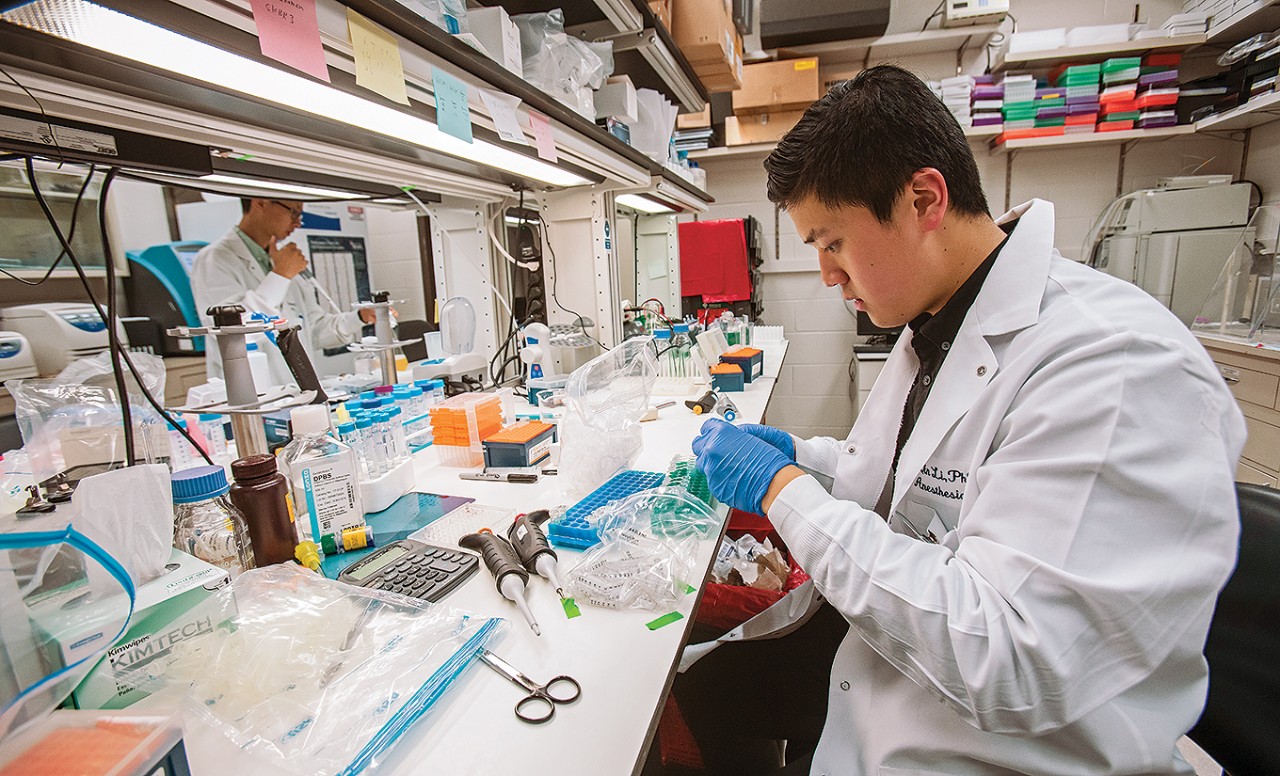 Fellowship-Yan_1360x825 Matthew Yan in lab