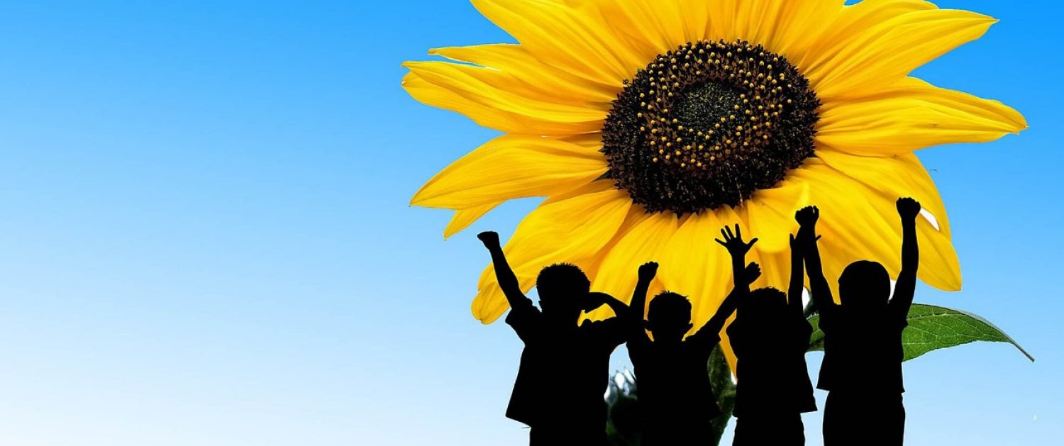 Children silhouettes against sunflower