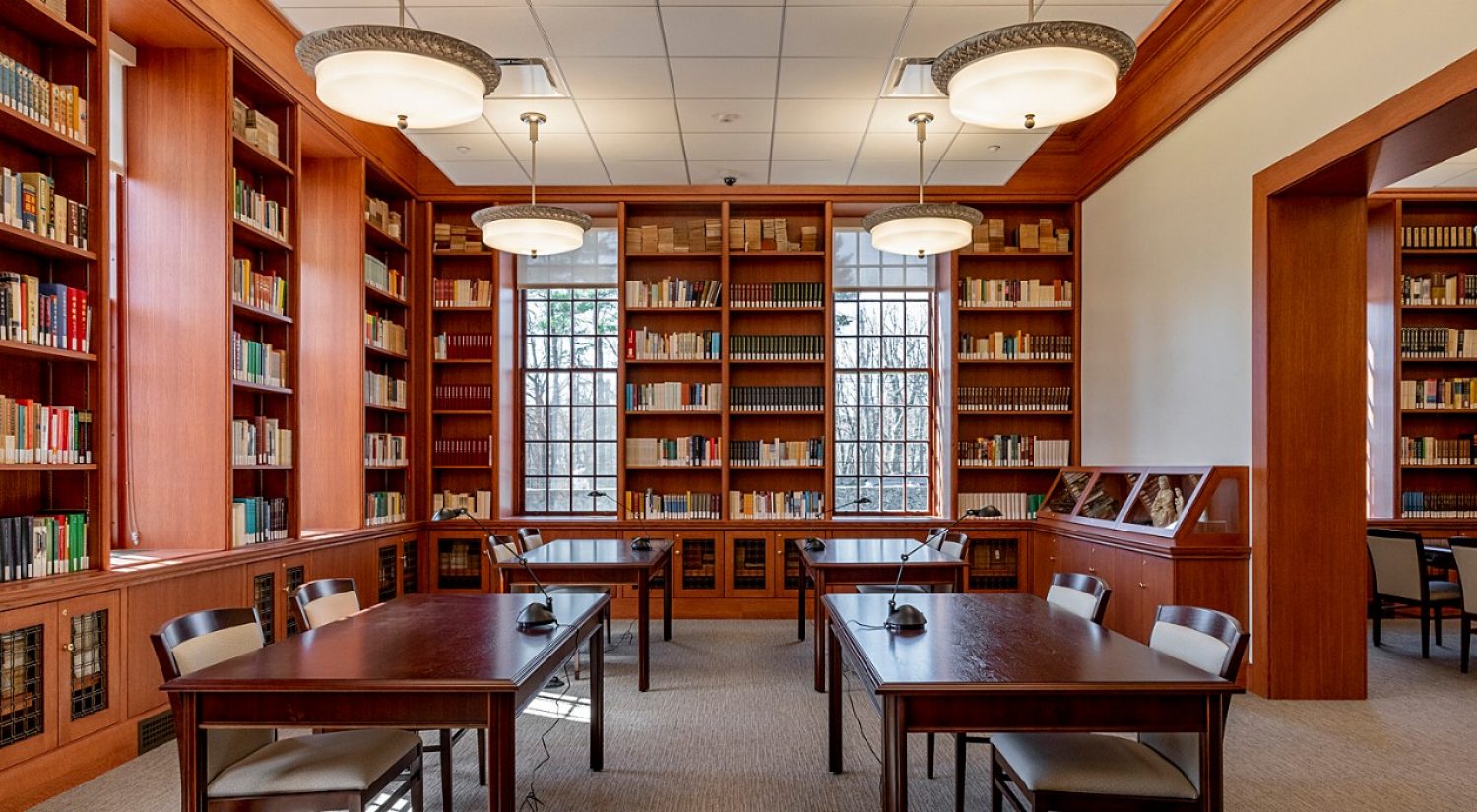 Ricci Institute library