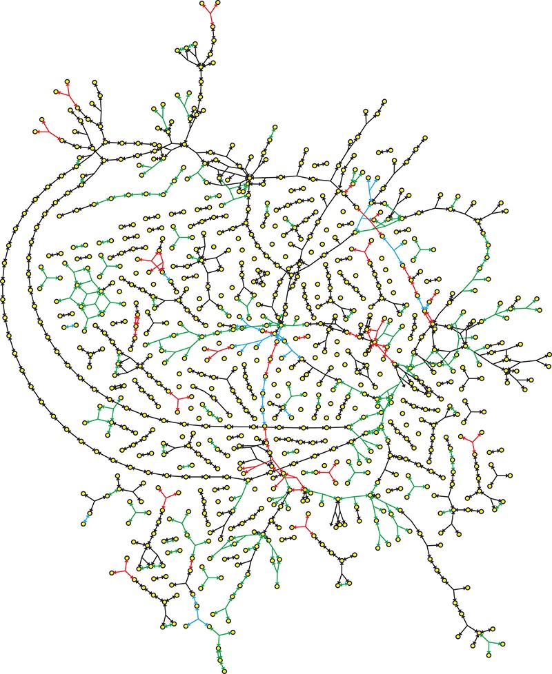 Graphic: The first curated, genome-scale metabolic network of the lethal bacterium Streptococcus pneumoniae.
