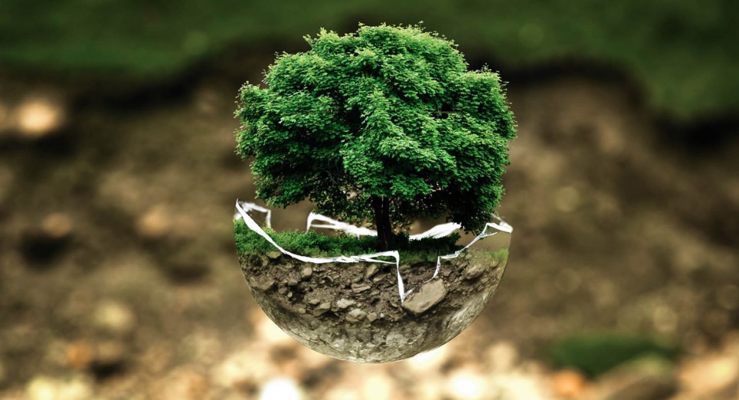 Photo illustration of the earth and environment