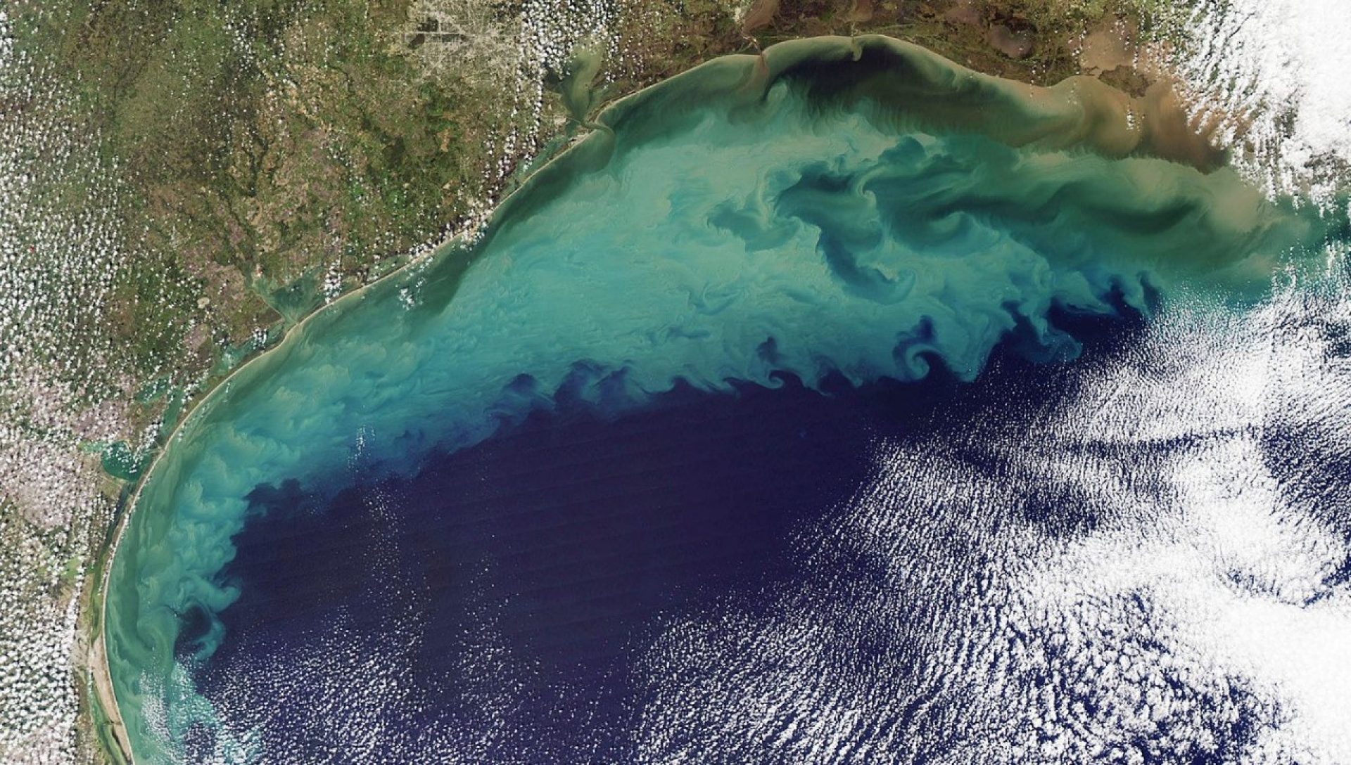 A satellite image of a dead zone in the Northern Gulf of Mexico