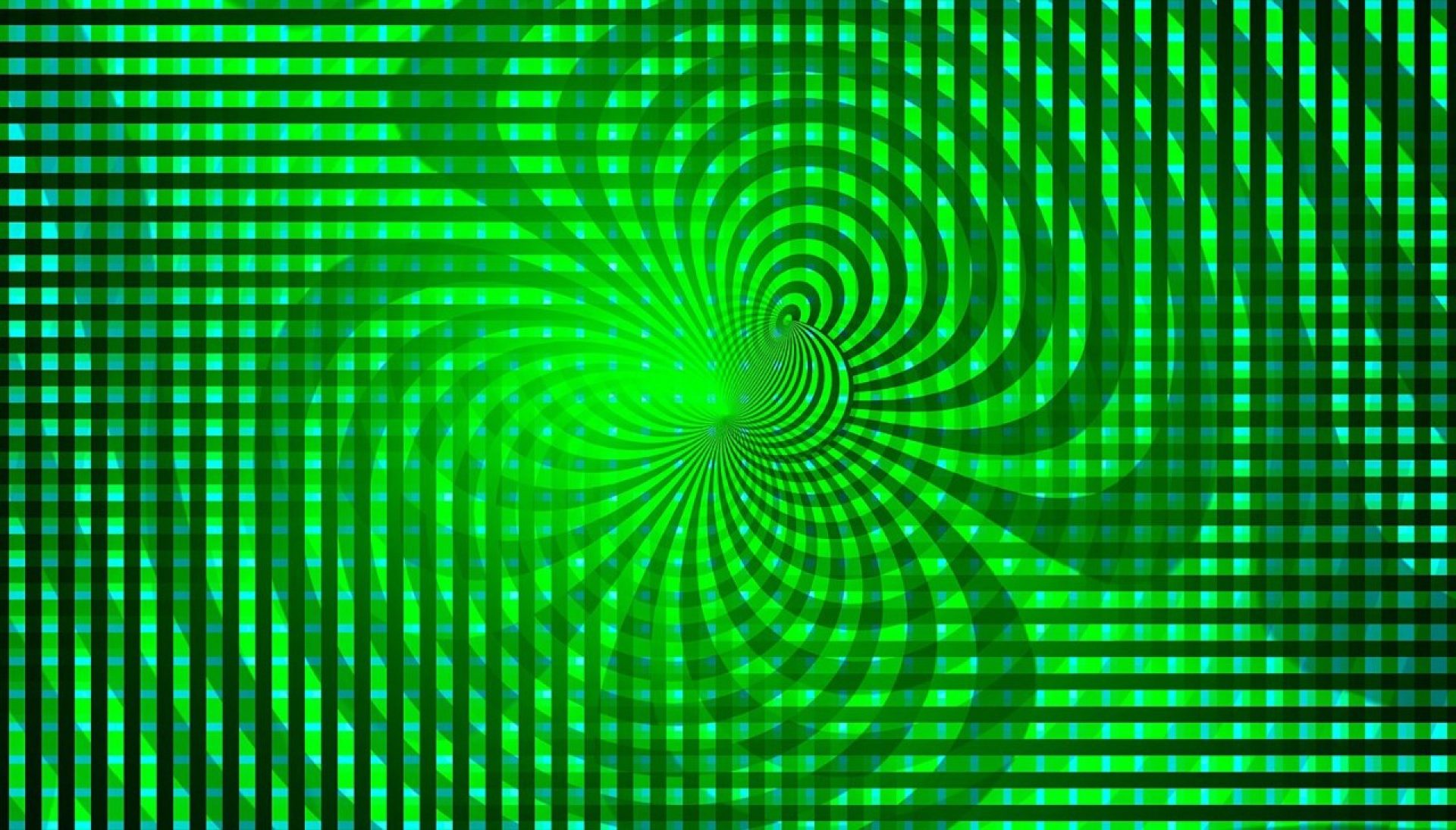 An illustration of magnetic field lines