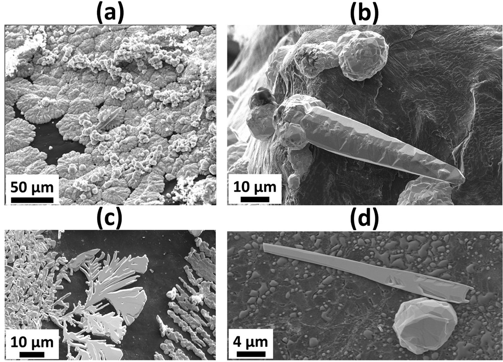 boron arsenide crystals