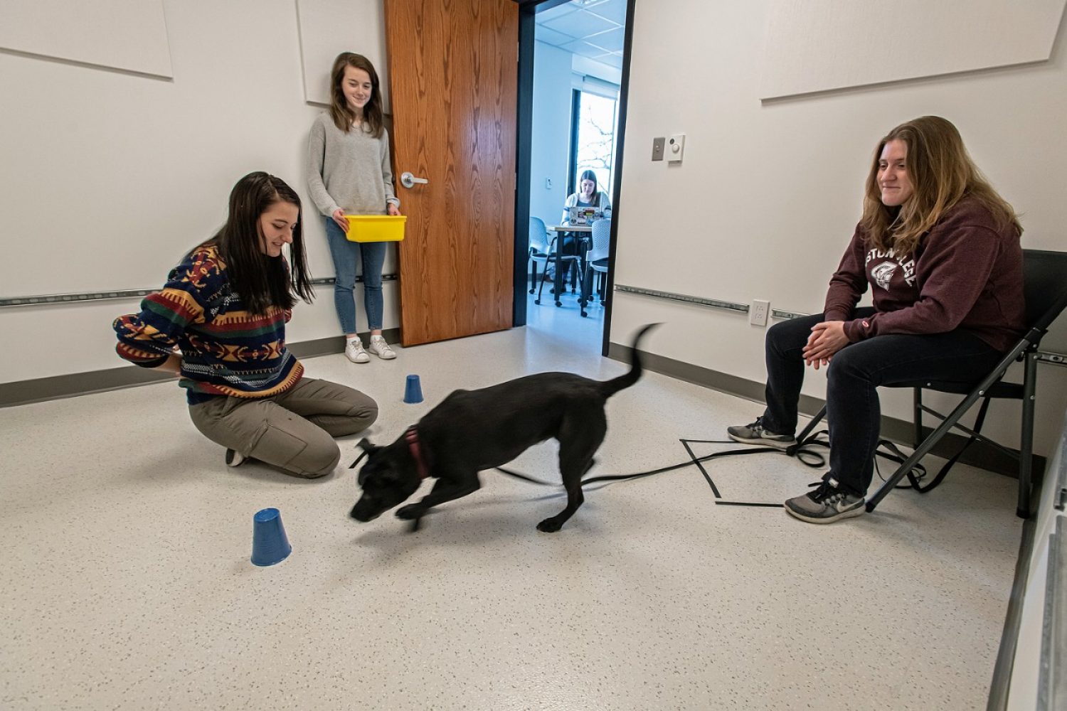 Canine Cognition Center 