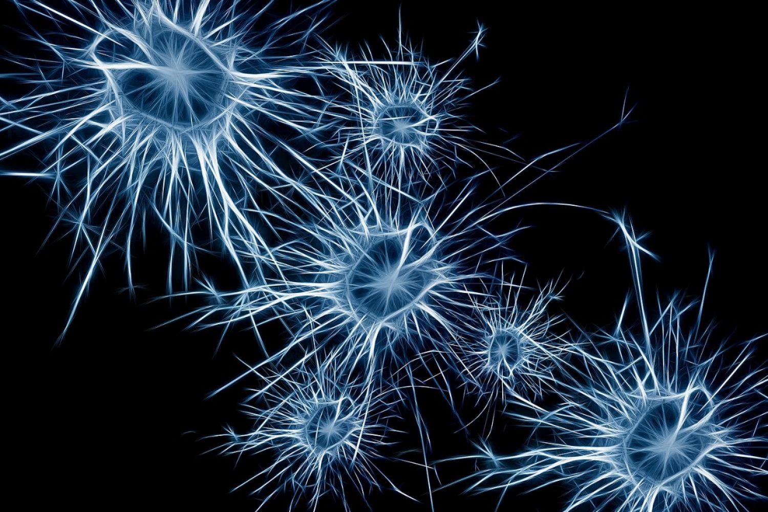 neurons (by Gerd-Altmann, CCO)