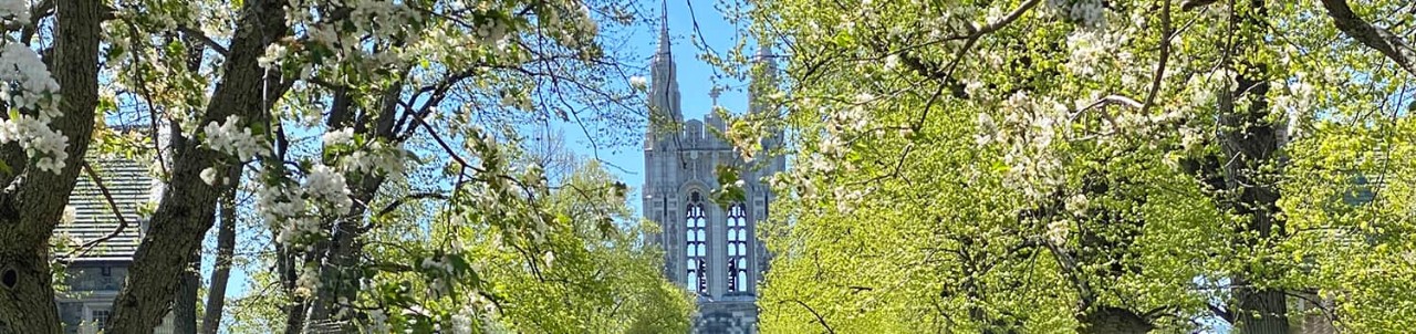 Gasson with trees