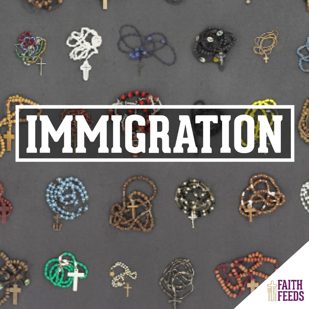 Faith Feeds Parishes Immigration