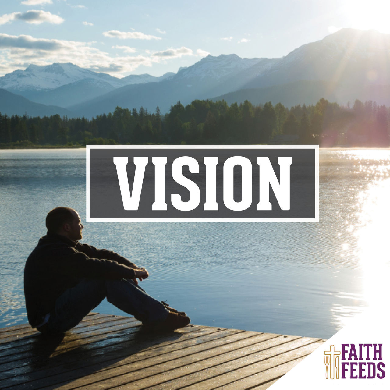 Vision