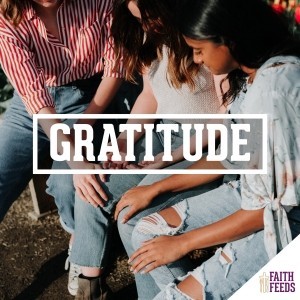 Fall FAITH FEEDS