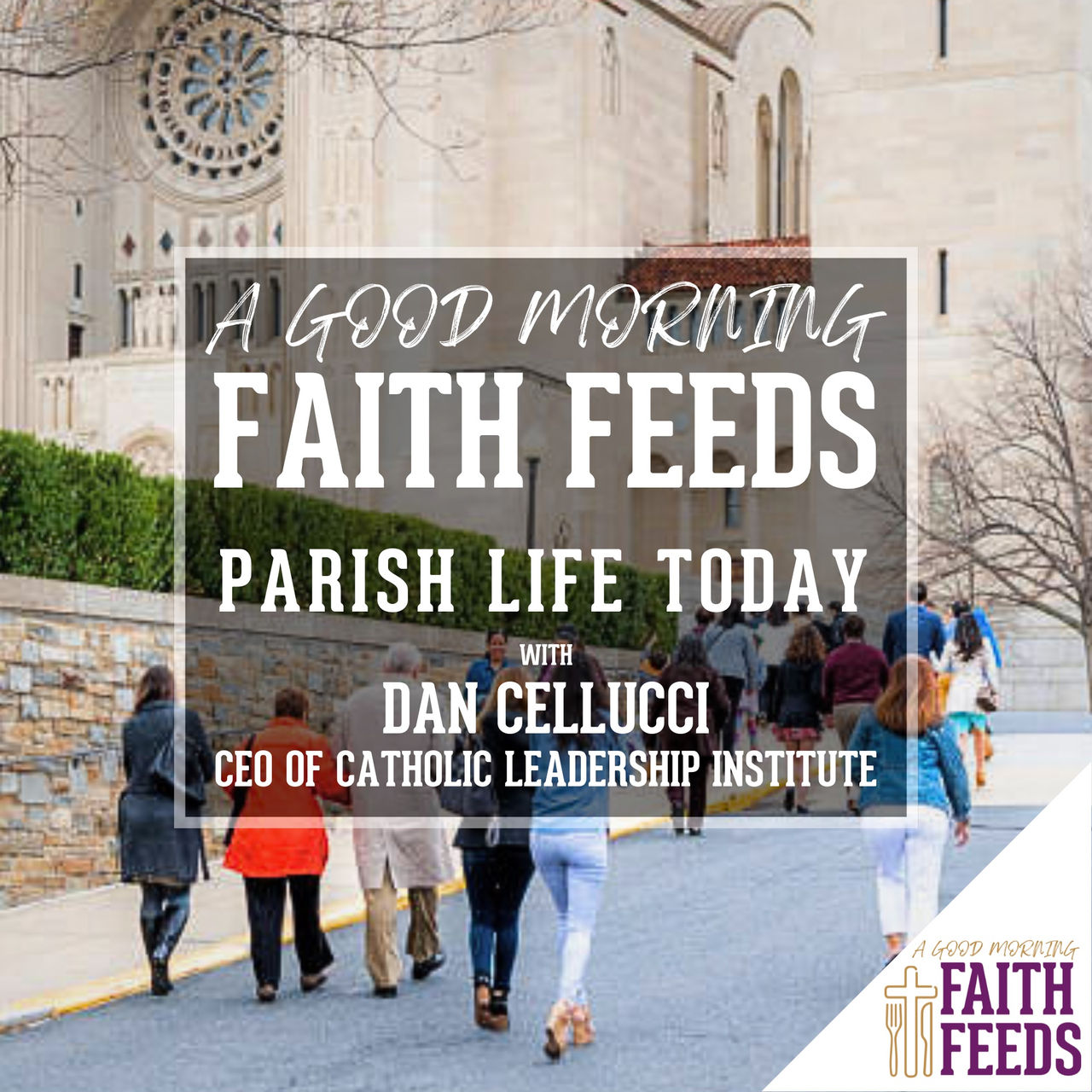 Summer Faith Feeds - Logos - C21 Faith Feeds Parish Life Today Dan Cellucci