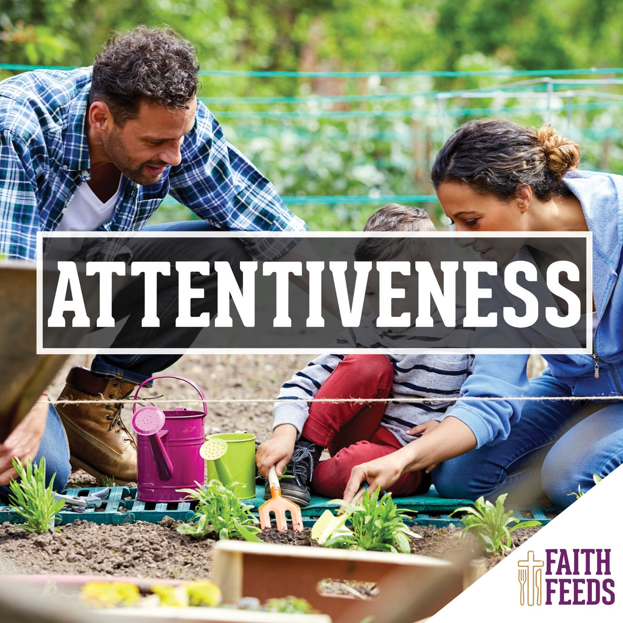 FAITH FEEDS Attentiveness