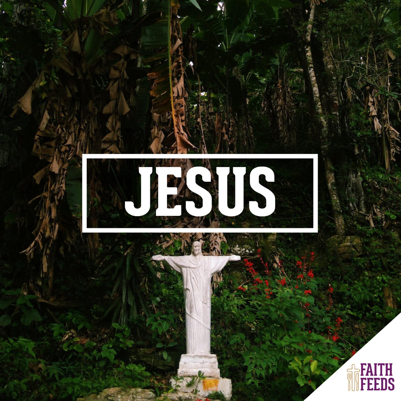 FAITH FEEDS Jesus