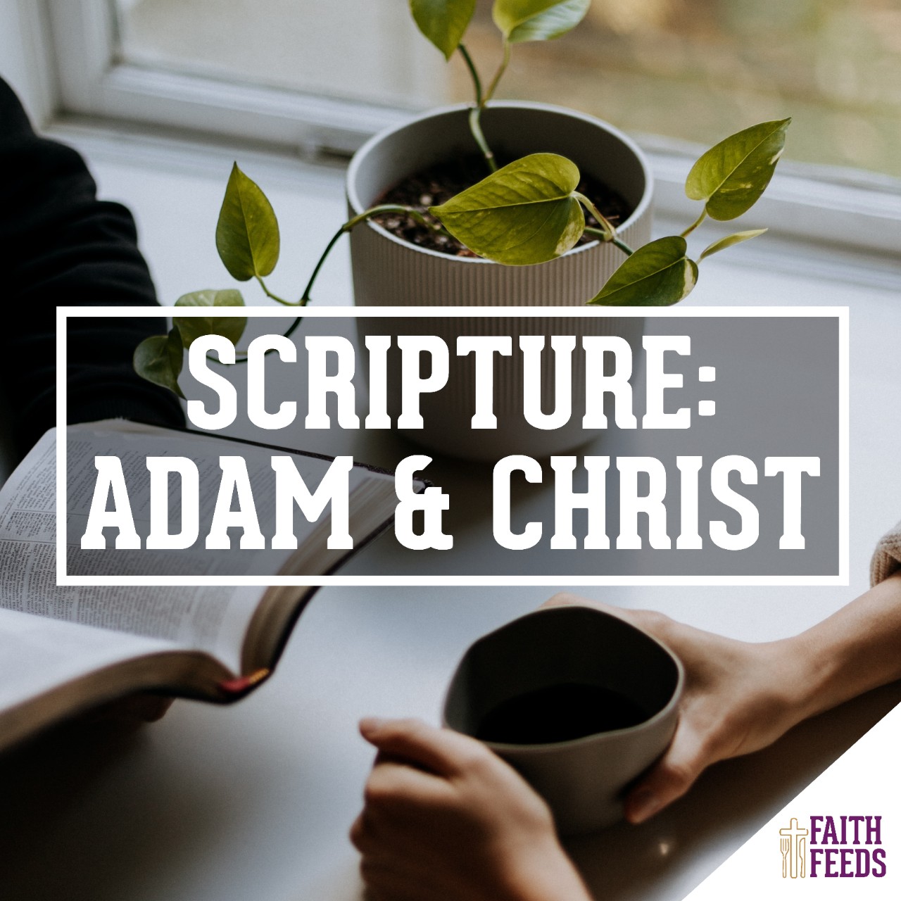 FAITH FEEDS Scripture: Adam & Christ