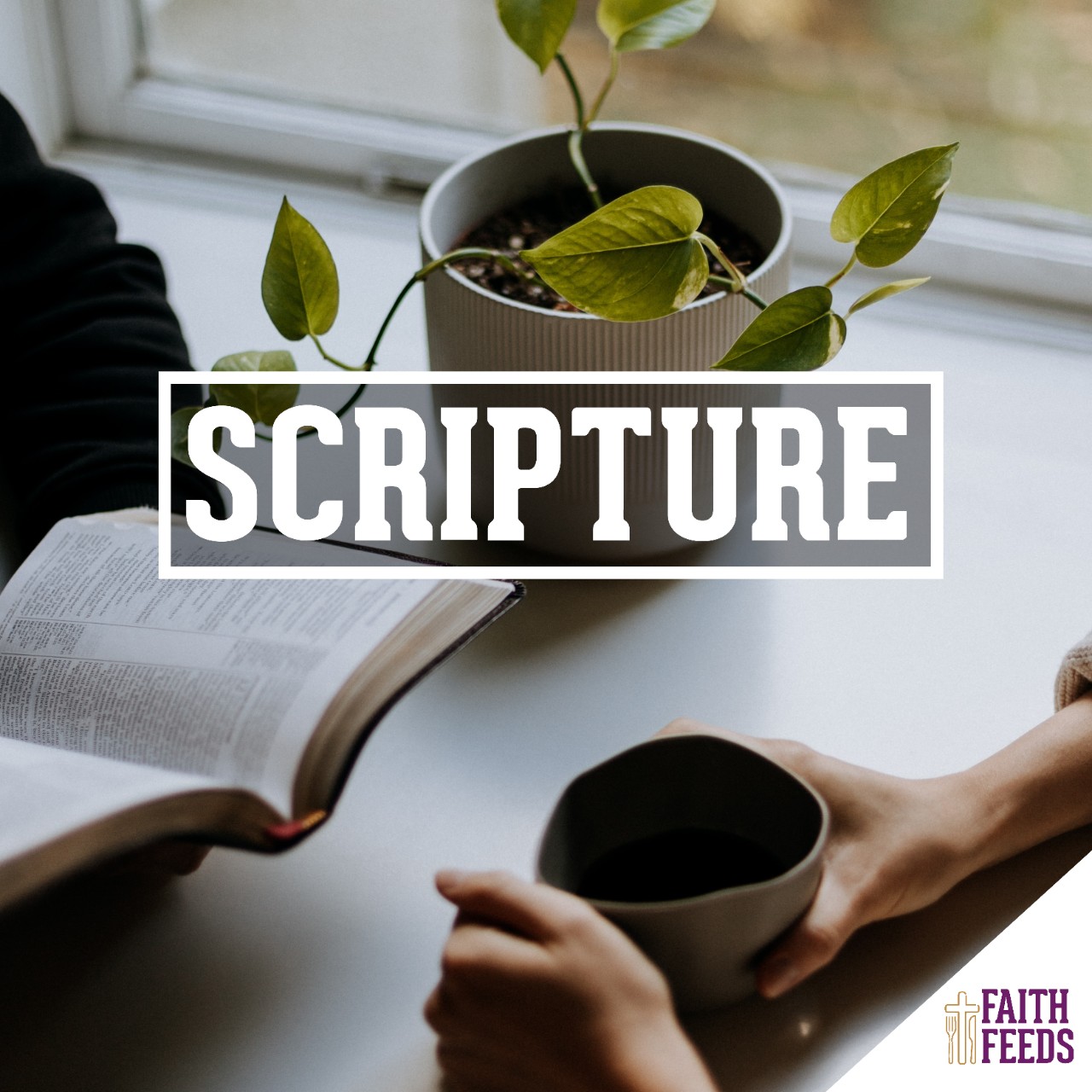 FAITH FEEDS Scripture