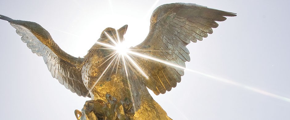 Photo of Eagle