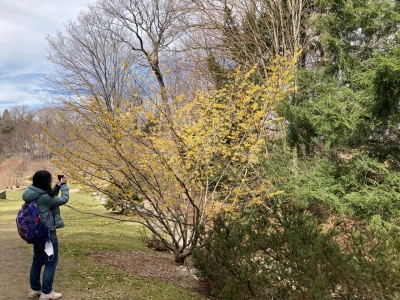 Environmental History Conference Arnold Arboretum Visit