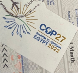 COP27 Egypt Visa