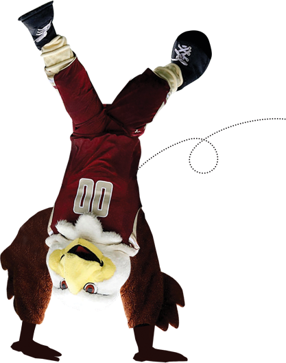 Baldwin the Eagle