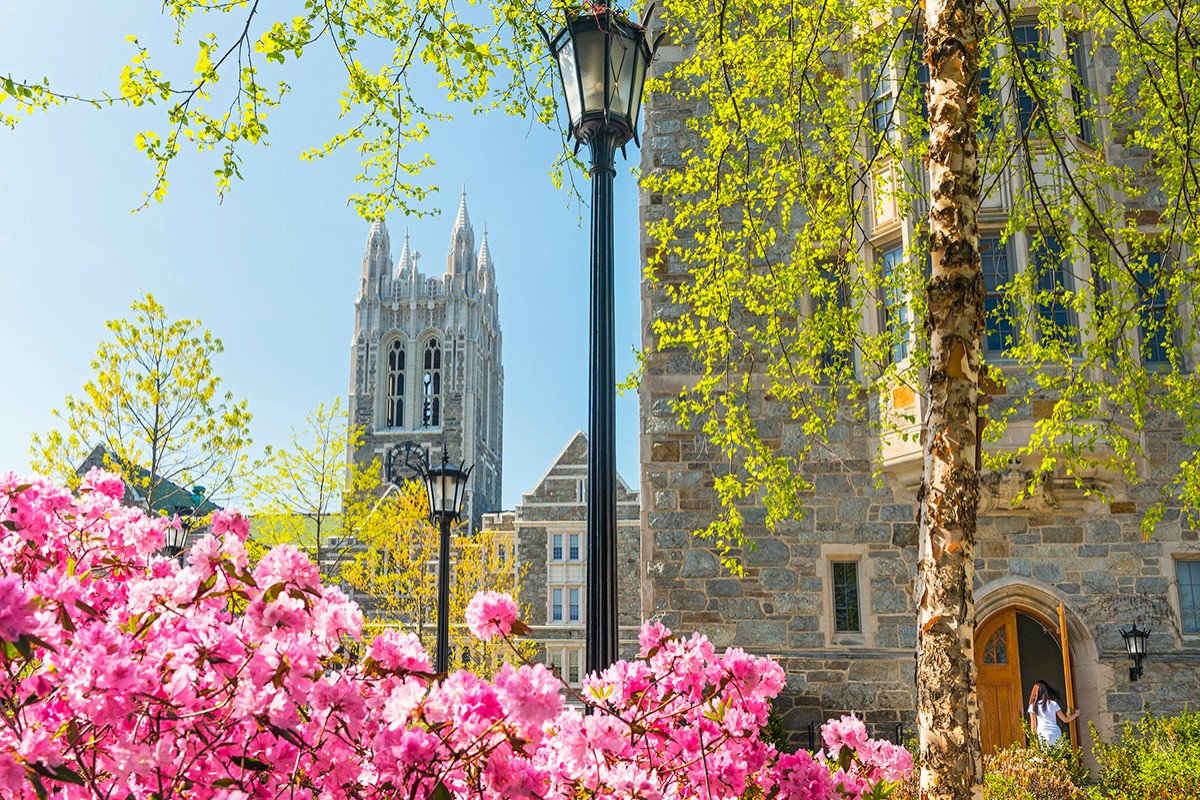 A view of the rose garden with Gasson Tower in the background.
