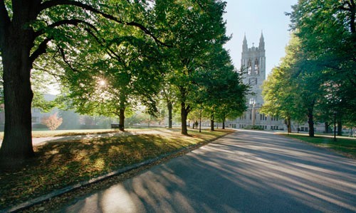 Linden-Lane_500x300 Linden Lane