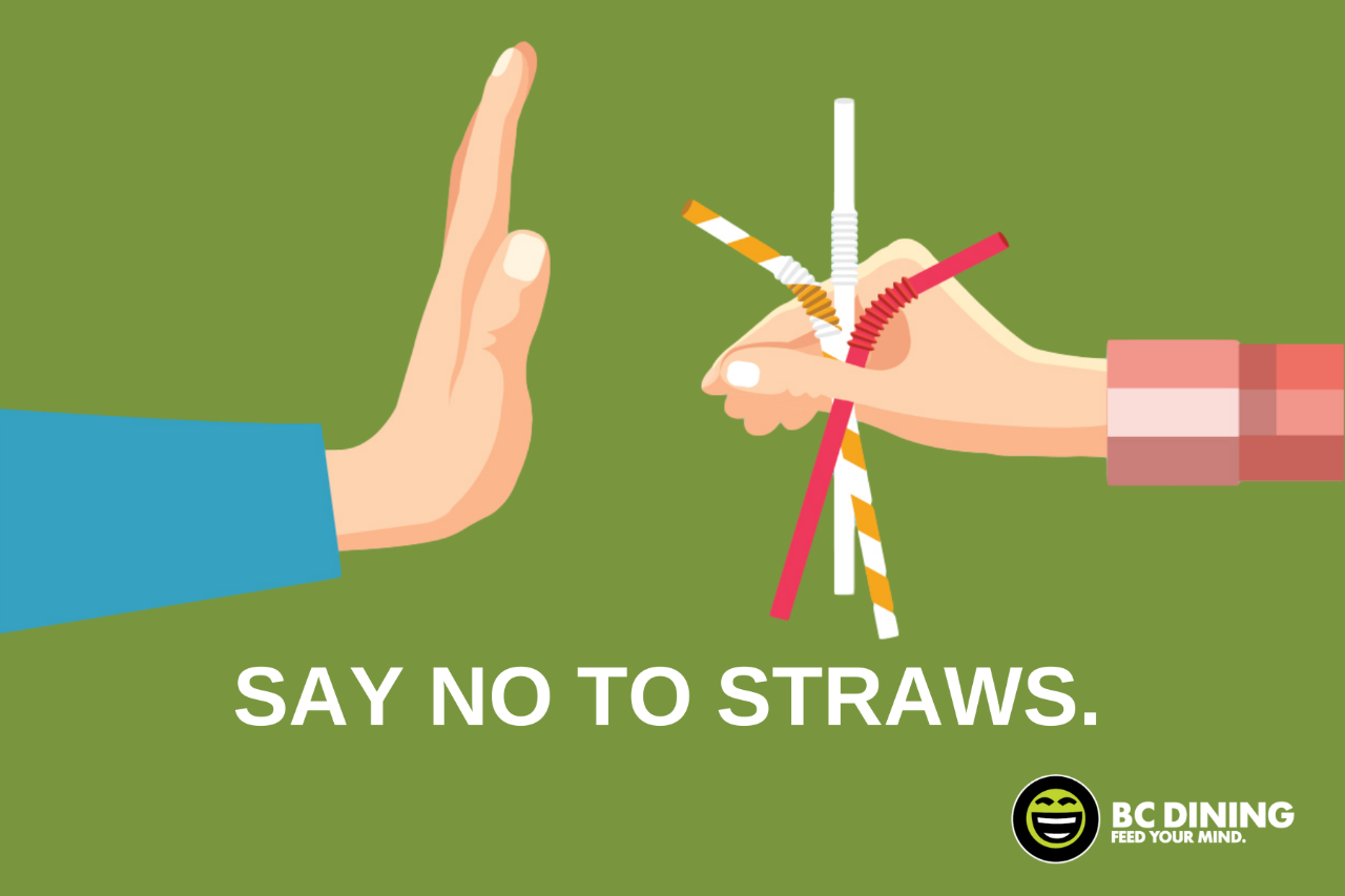 straw policy