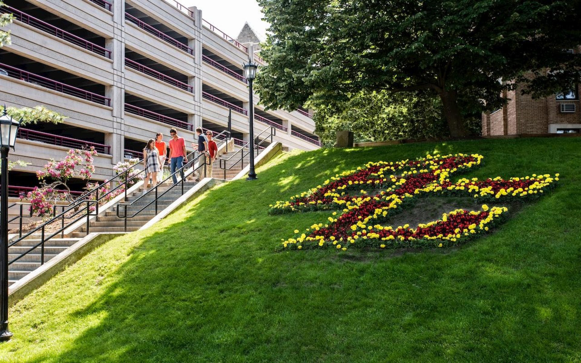 Flowers on campus