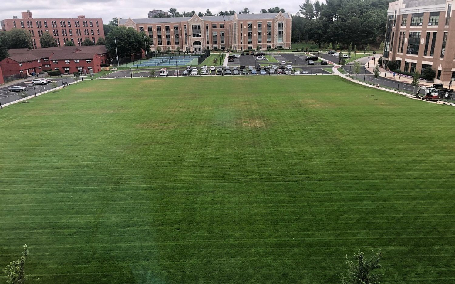 New green space on Lower Campus