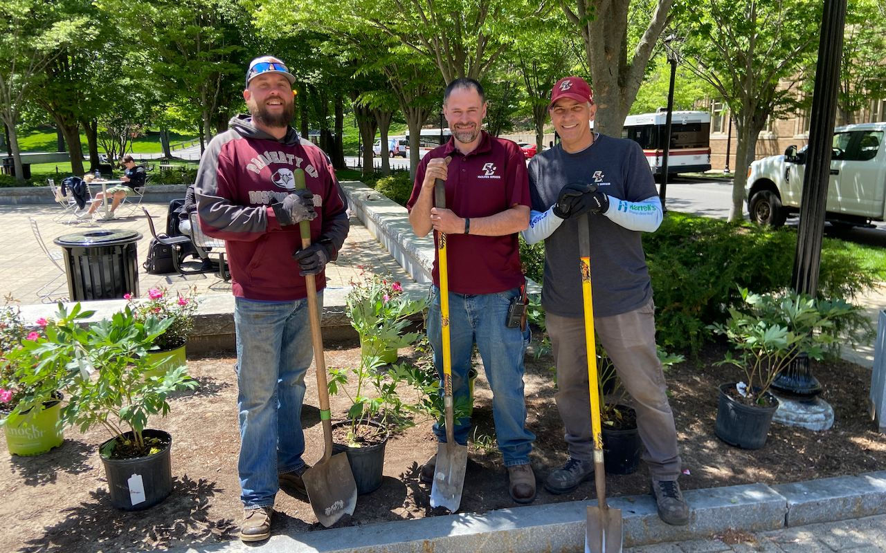 Landscape Planting