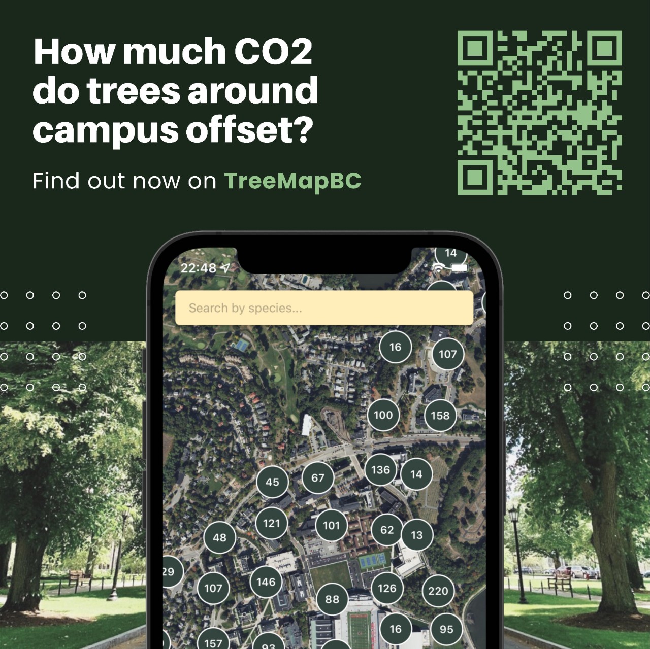 Image with a phone showing the TreeMapBC application and wording "How much CO2 do trees around campus offset?" "Find out now on TreeMapBC"