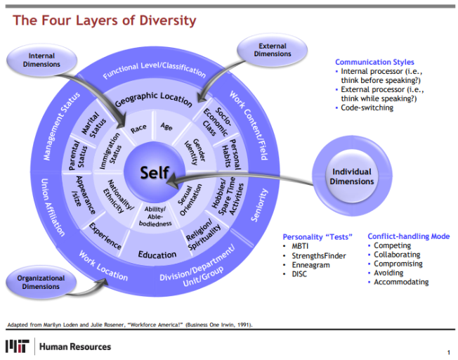 four layers of diversity model MIT
